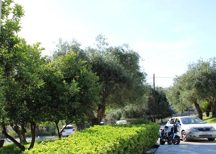 Vaggos Place